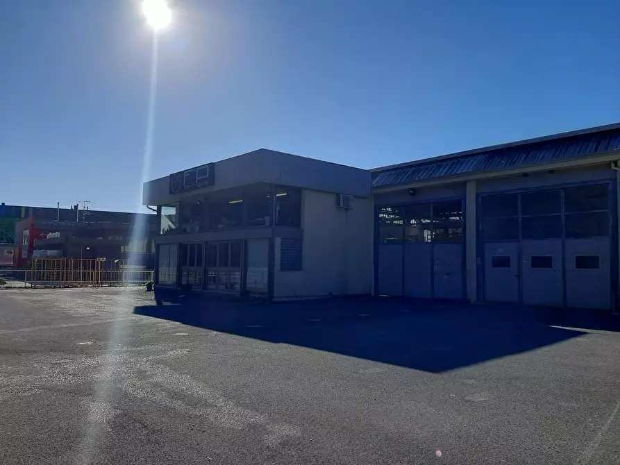 Immagine 18 di Attività artigianale in vendita  a Vicopisano