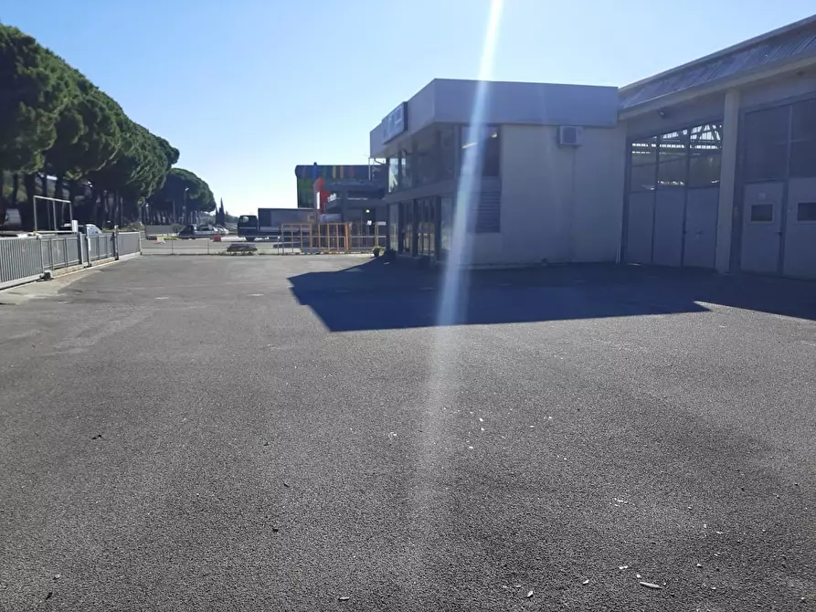 Immagine 15 di Attività artigianale in vendita  a Vicopisano