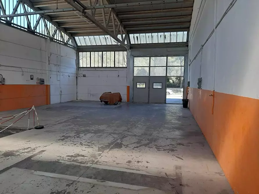 Immagine 29 di Attività artigianale in vendita  a Vicopisano