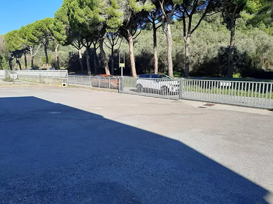 Immagine 14 di Attività artigianale in vendita  a Vicopisano