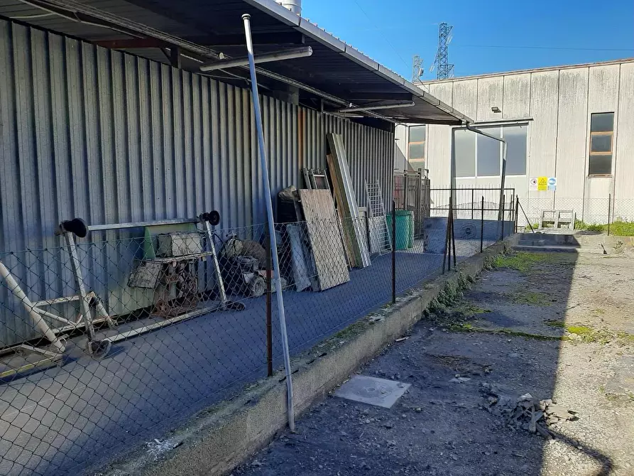 Immagine 21 di Attività artigianale in vendita  a Vicopisano