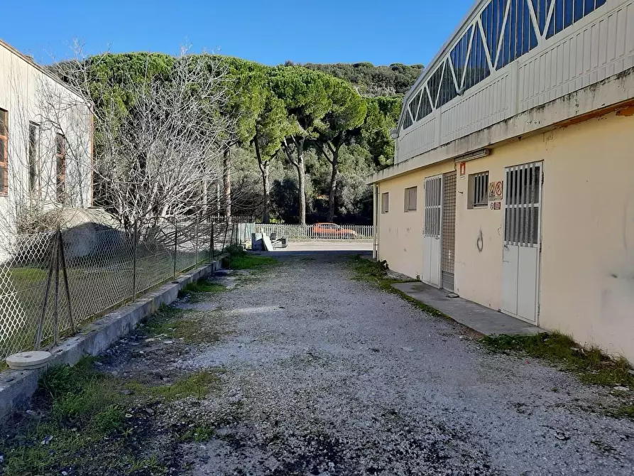 Immagine 24 di Attività artigianale in vendita  a Vicopisano