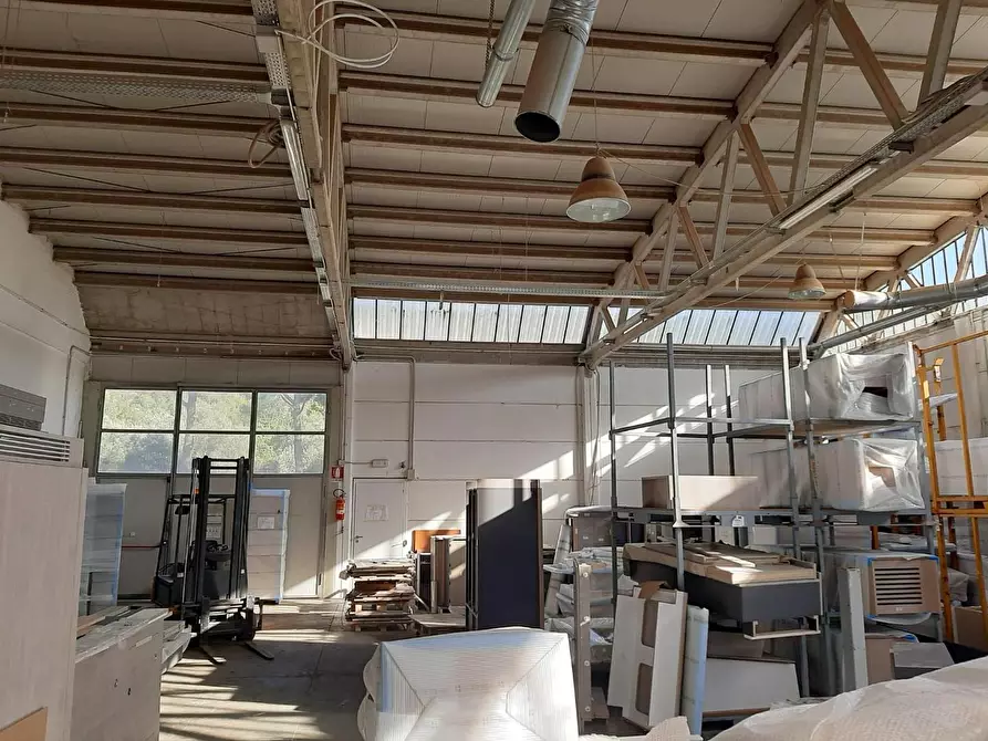 Immagine 6 di Attività artigianale in vendita  a Vicopisano