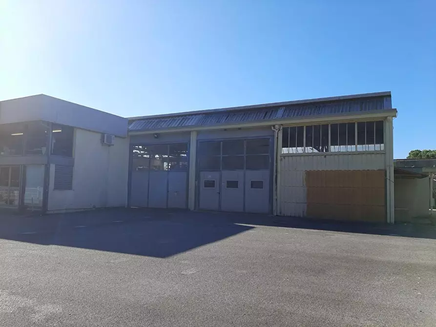 Immagine 19 di Attività artigianale in vendita  a Vicopisano