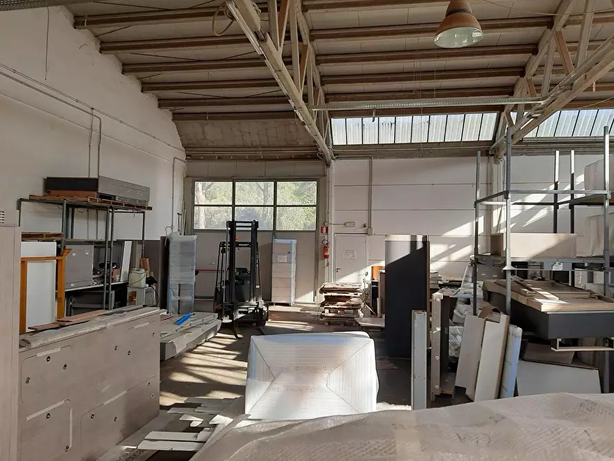 Immagine 7 di Attività artigianale in vendita  a Vicopisano