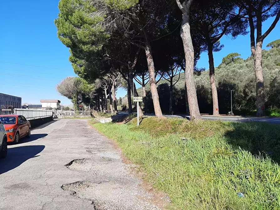 Immagine 38 di Attività artigianale in vendita  a Vicopisano