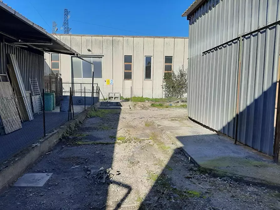 Immagine 20 di Attività artigianale in vendita  a Vicopisano