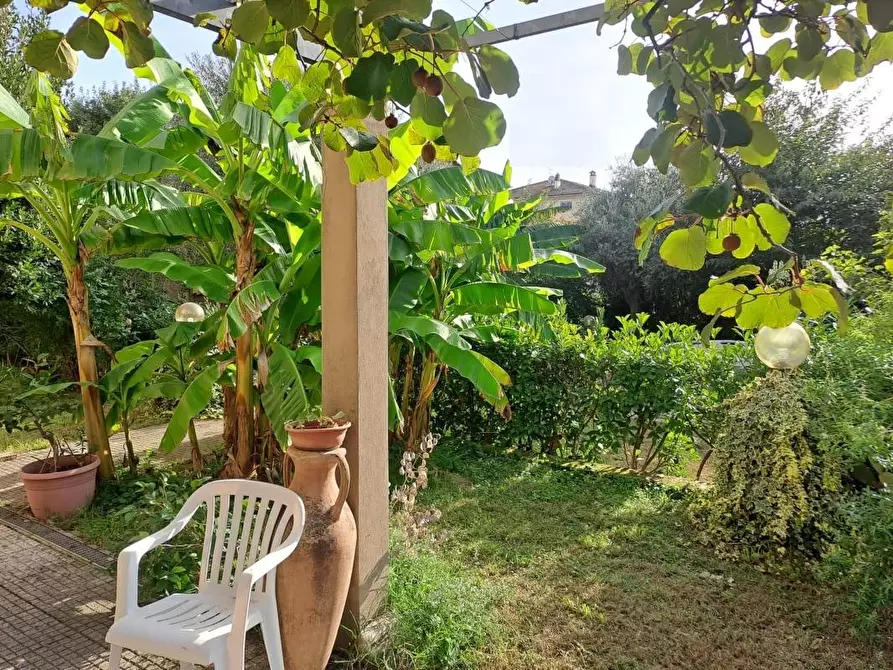 Immagine 3 di Villa in vendita  a Porcari