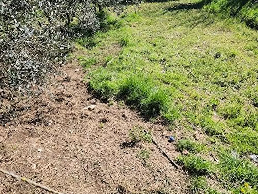 Immagine 23 di Terratetto in vendita  a Santa Maria A Monte