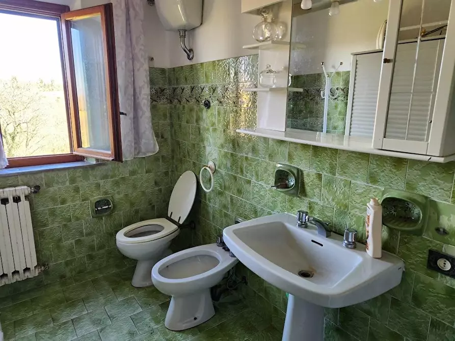 Immagine 17 di Terratetto in vendita  a Santa Maria A Monte