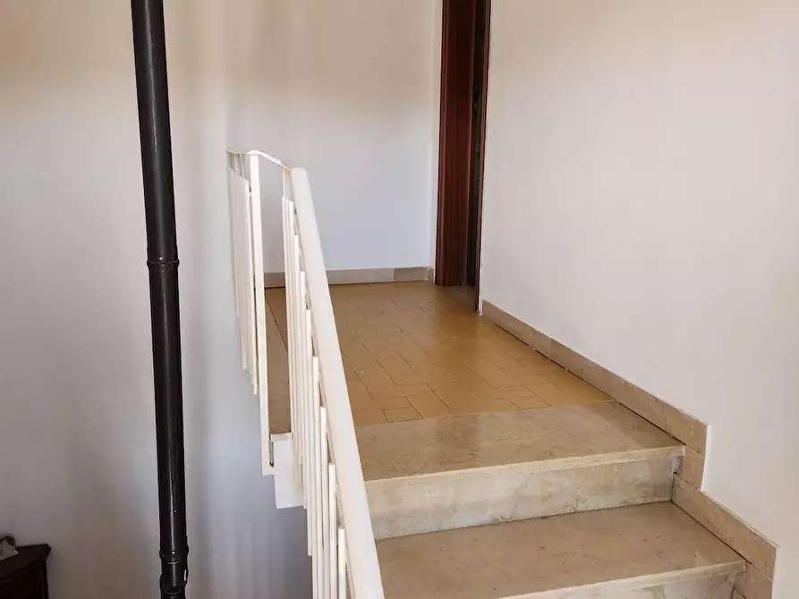 Immagine 15 di Terratetto in vendita  a Santa Maria A Monte