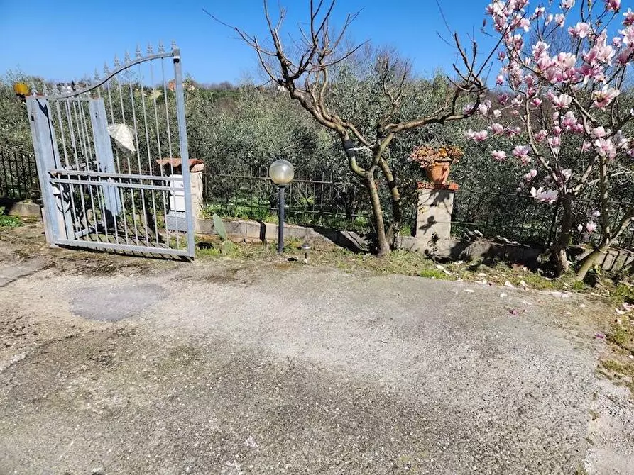 Immagine 4 di Terratetto in vendita  a Santa Maria A Monte