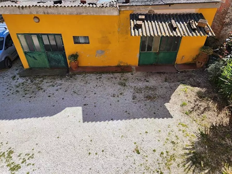 Immagine 19 di Terratetto in vendita  a Santa Maria A Monte