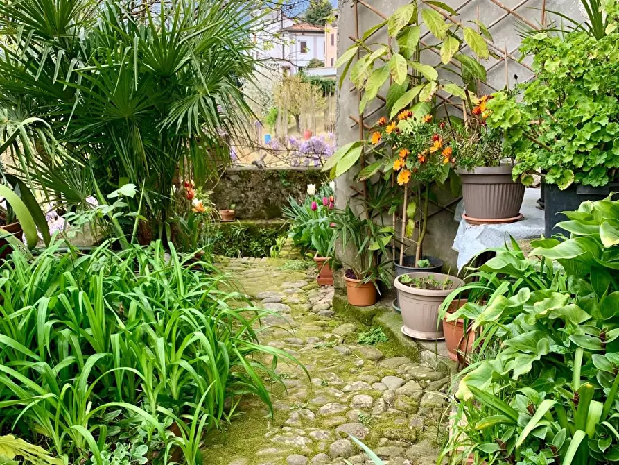 Immagine 7 di Casa indipendente in vendita  a Barga