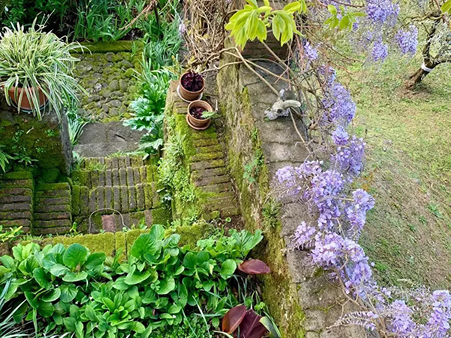 Immagine 12 di Casa indipendente in vendita  a Barga