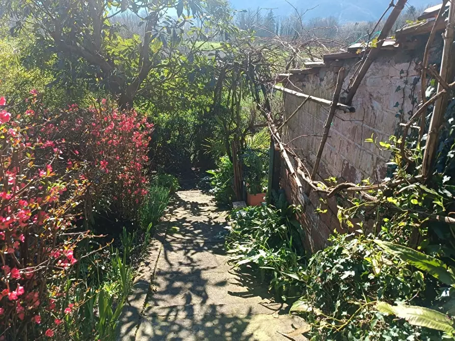 Immagine 5 di Casa indipendente in vendita  a Barga