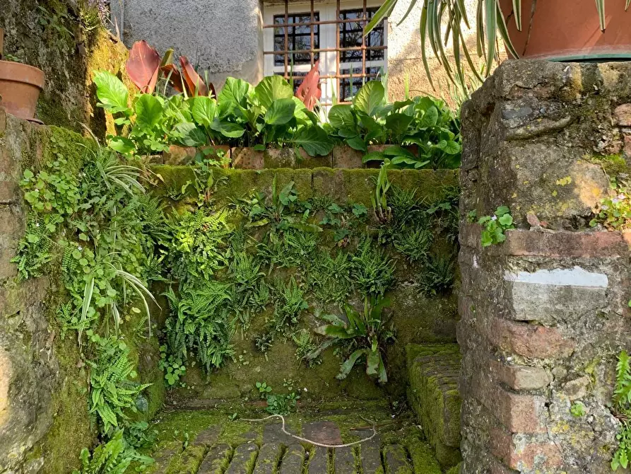 Immagine 4 di Casa indipendente in vendita  a Barga