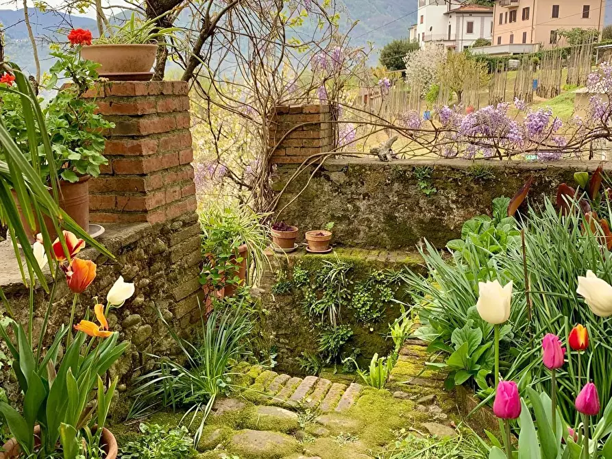 Immagine 8 di Casa indipendente in vendita  a Barga