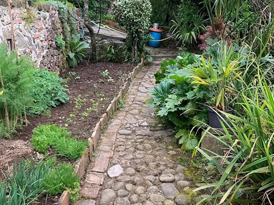 Immagine 11 di Casa indipendente in vendita  a Barga