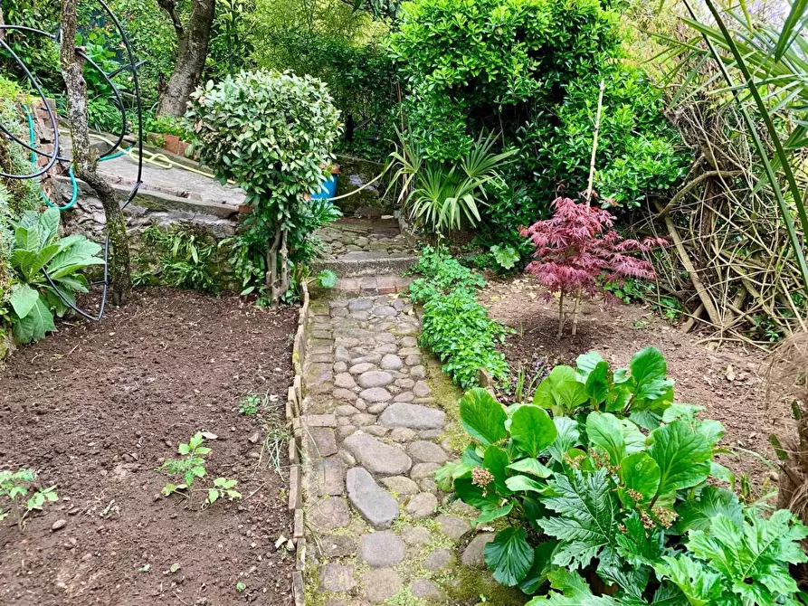 Immagine 9 di Casa indipendente in vendita  a Barga