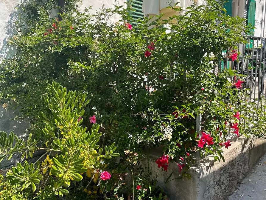 Immagine 32 di Appartamento in affitto  a Pisa