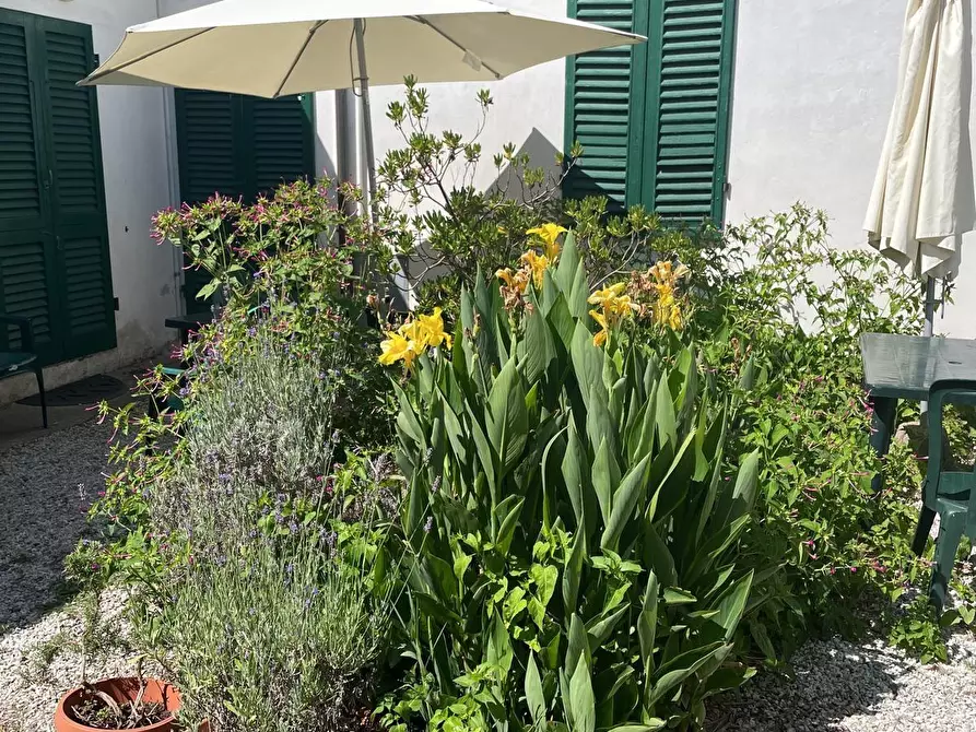 Immagine 31 di Appartamento in affitto  a Pisa