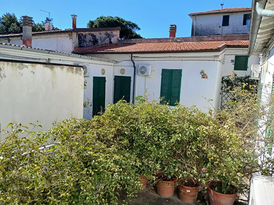 Immagine 24 di Appartamento in affitto  a Pisa