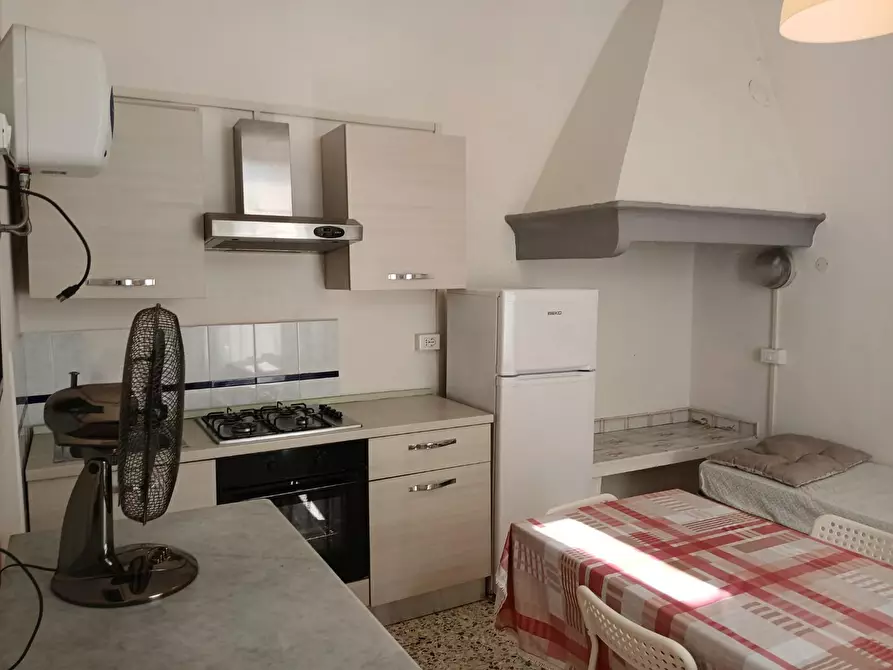 Immagine 12 di Appartamento in affitto  a Pisa