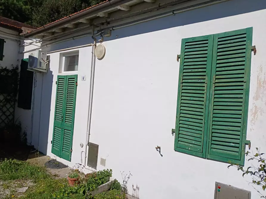 Immagine 27 di Appartamento in affitto  a Pisa