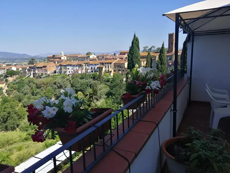 Immagine 41 di Appartamento in vendita  a Montopoli In Val D'arno