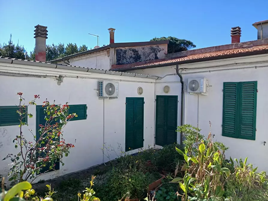 Immagine 15 di Appartamento in affitto  a Pisa