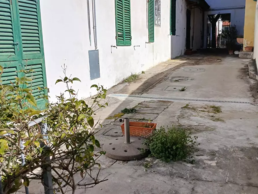 Immagine 12 di Appartamento in affitto  a Pisa