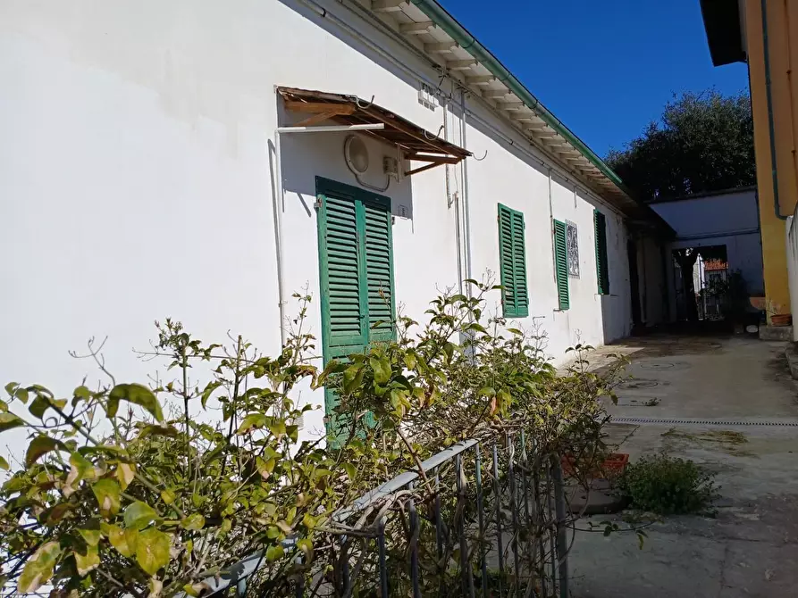 Immagine 18 di Appartamento in affitto  a Pisa