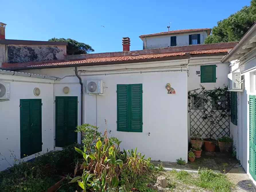 Immagine 14 di Appartamento in affitto  a Pisa