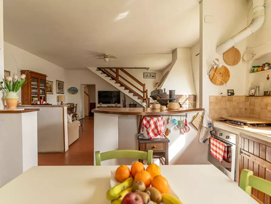 Immagine 23 di Casa colonica in vendita  a Montespertoli