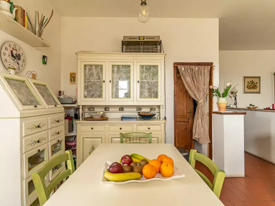 Immagine 22 di Casa colonica in vendita  a Montespertoli