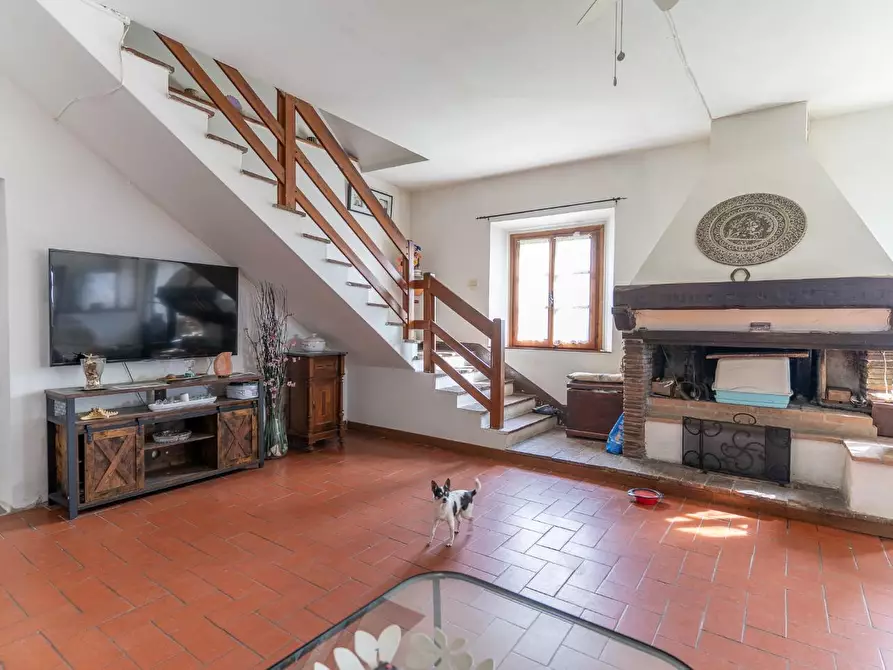 Immagine 20 di Casa colonica in vendita  a Montespertoli