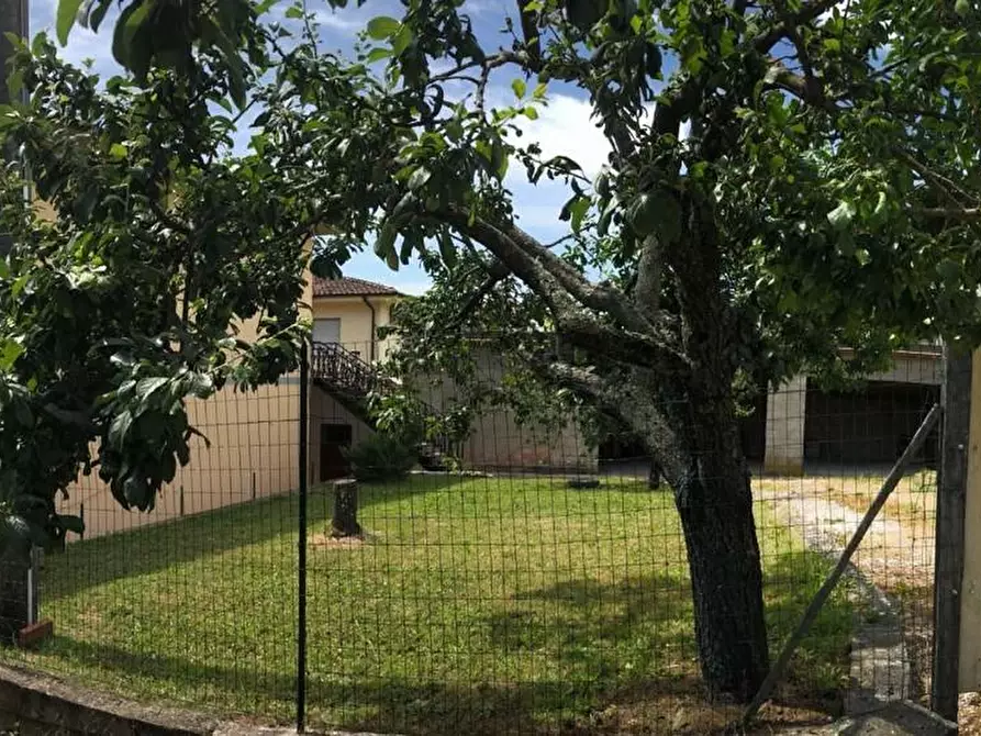 Immagine 17 di Appartamento in vendita  a Capannori