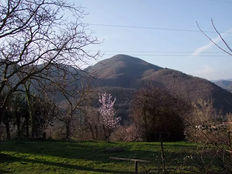 Immagine 5 di Casa colonica in vendita  a Rufina