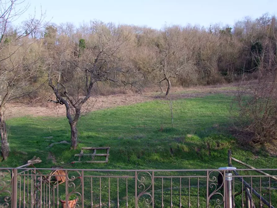 Immagine 9 di Casa colonica in vendita  a Rufina