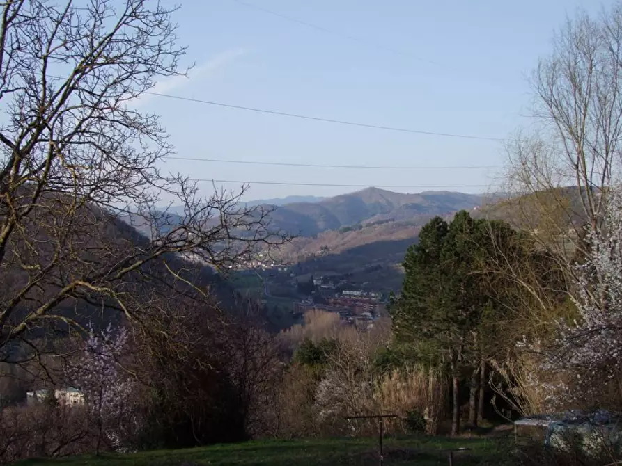 Immagine 8 di Casa colonica in vendita  a Rufina