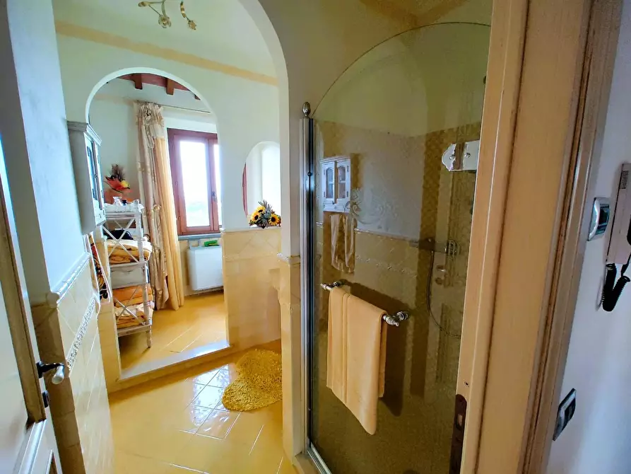 Immagine 24 di Casa colonica in vendita  a Palaia