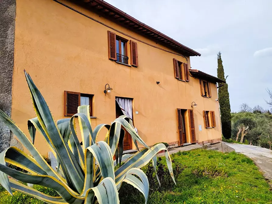 Immagine 26 di Casa colonica in vendita  a Palaia
