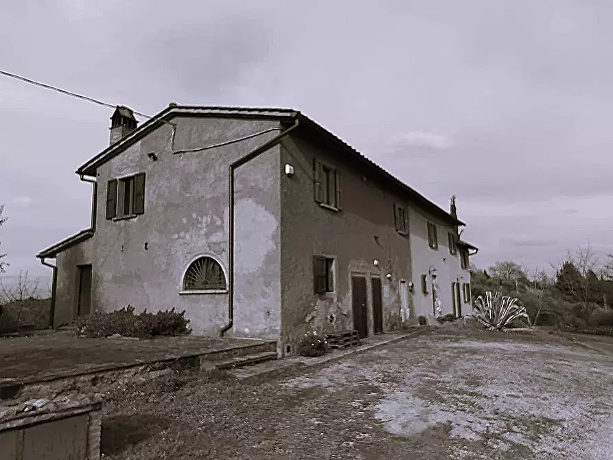 Immagine 28 di Casa colonica in vendita  a Palaia