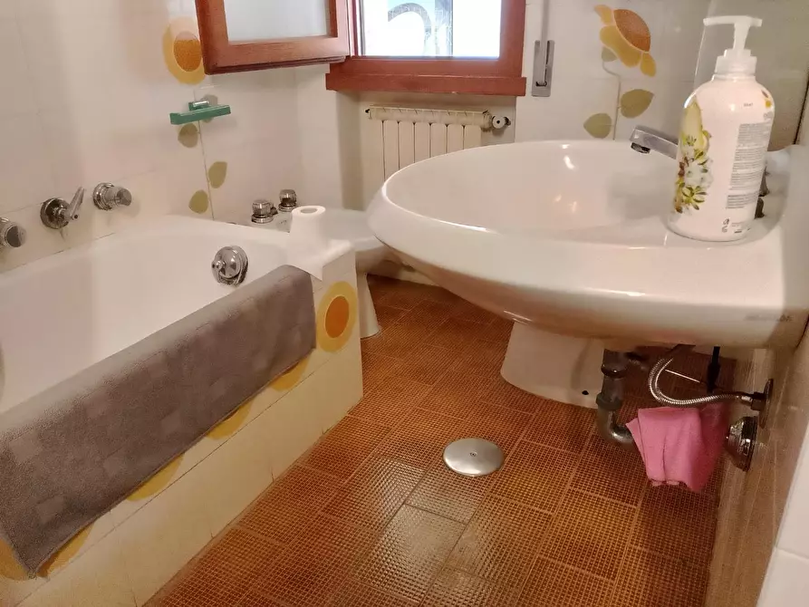 Immagine 31 di Mansarda in affitto  a Rosignano Marittimo