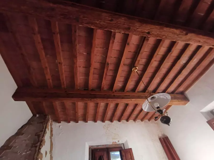 Immagine 4 di Terratetto in vendita  a Cerreto Guidi