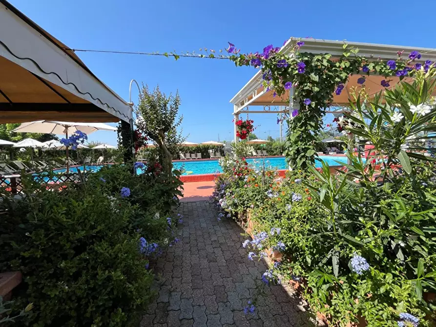 Immagine 14 di Attività commerciale in vendita  a Carrara