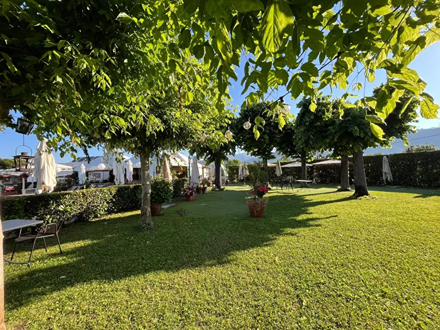 Immagine 30 di Attività commerciale in vendita  a Carrara