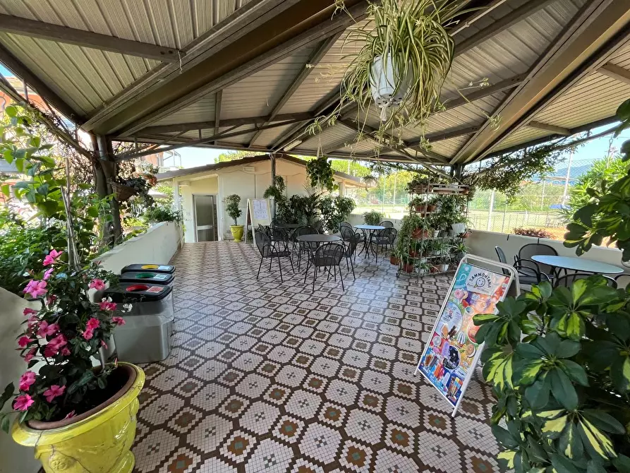 Immagine 12 di Attività commerciale in vendita  a Carrara