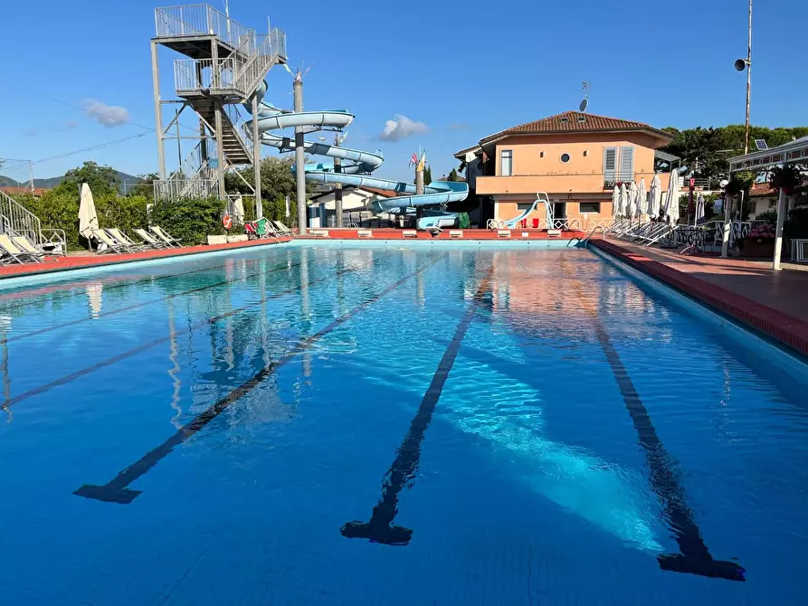 Immagine 19 di Attività commerciale in vendita  a Carrara